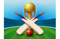 Play Cricket Champions Cup now!