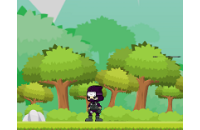 Play Ninja Adventure now!