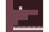 Play Spiked Ninja now!